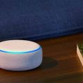 Signs Of Fake Amazon Echo And Alexa Devices