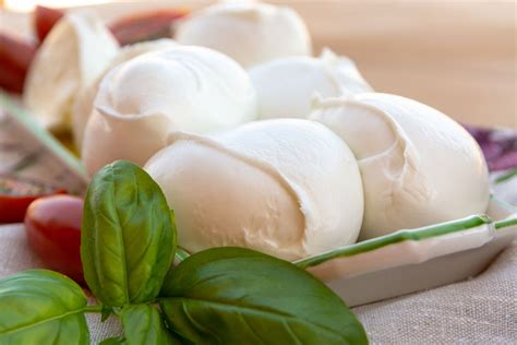 Mozzarella Cheese