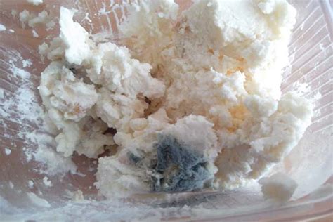 Image of spoiled cottage cheese