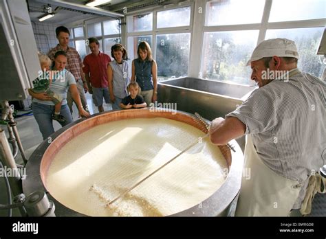 Swiss cheese making process